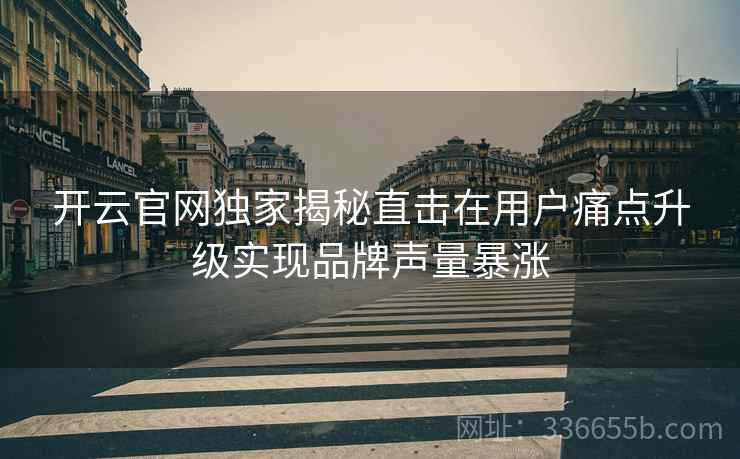 开云官网独家揭秘直击在用户痛点升级实现品牌声量暴涨